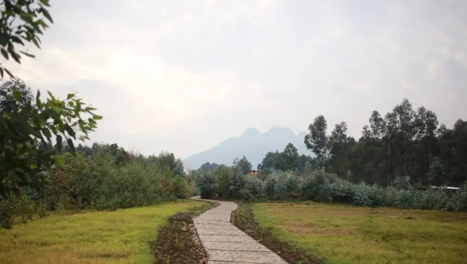 Pathway and green landscape near the mountains